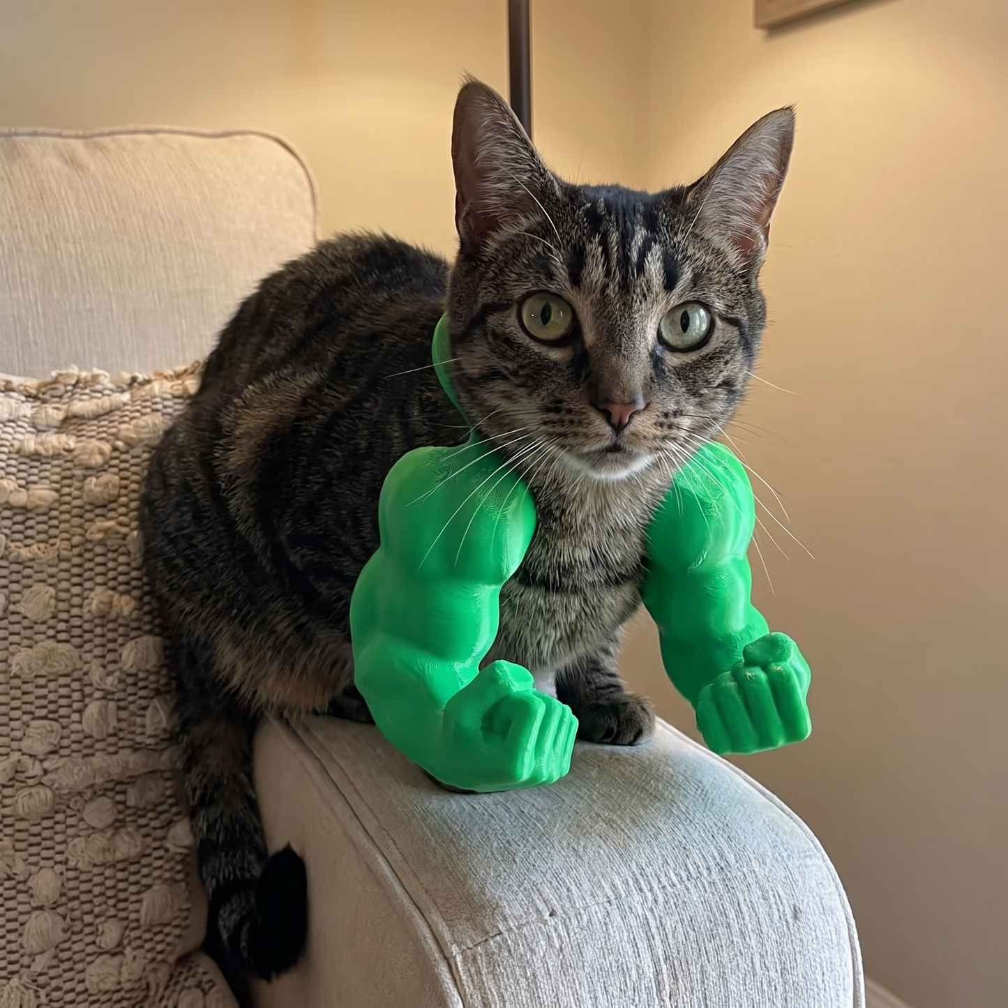 Maxipaw™